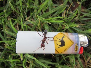 Melbourne to Adelaide-084